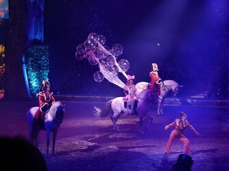 IMG_20251018_144438.jpg