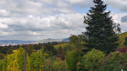 IMG_20251016_141629190_HDR.jpg