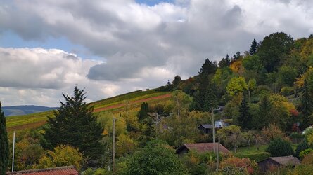 IMG_20251016_141649069_HDR.jpg