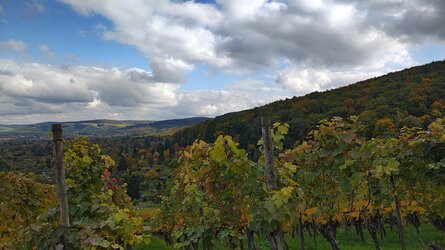 IMG_20251016_143240883_HDR.jpg
