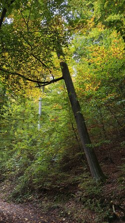IMG_20251016_144150227_HDR.jpg