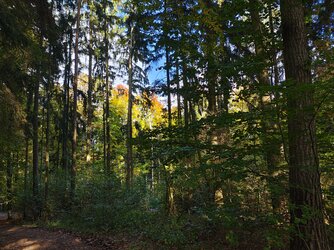 IMG_20251016_151534437_HDR.jpg