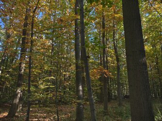 IMG_20251016_152126049_HDR.jpg