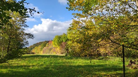 IMG_20251016_152521784_HDR.jpg