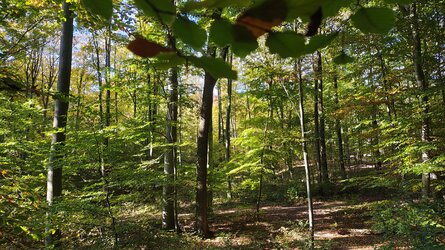 IMG_20251016_152953646_HDR.jpg