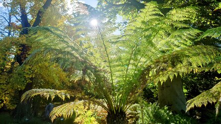 20251018_111546~2.JPG