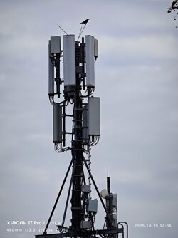 IMG_20251019_120632.jpg IMG_20251019_120632.jpg