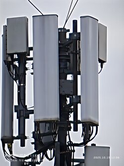 IMG_20251019_120645.jpg IMG_20251019_120645.jpg