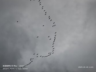 IMG_20251018_142435.jpg IMG_20251018_142435.jpg