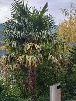 IMG_20251019_113513.jpg