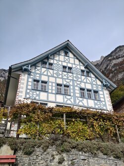 IMG_20251019_125136.jpg