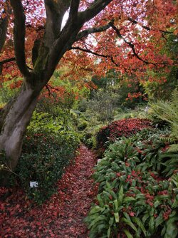 IMG_20251019_161527.jpg IMG_20251019_161527.jpg