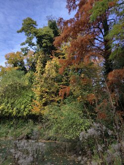 IMG_20251019_143502.jpg IMG_20251019_143502.jpg