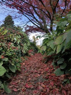 IMG_20251019_143939.jpg IMG_20251019_143939.jpg