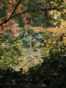 IMG_20251019_144239.jpg IMG_20251019_144239.jpg