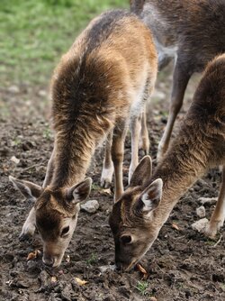 IMG_20251019_154407.jpg IMG_20251019_154407.jpg