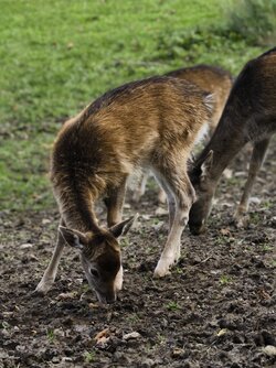 IMG_20251019_154020.jpg IMG_20251019_154020.jpg