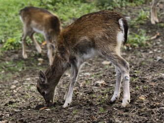 IMG_20251019_154004.jpg IMG_20251019_154004.jpg