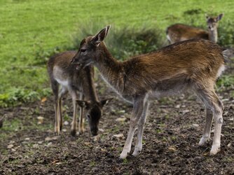 IMG_20251019_153852.jpg IMG_20251019_153852.jpg