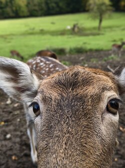 IMG_20251019_154337.jpg IMG_20251019_154337.jpg