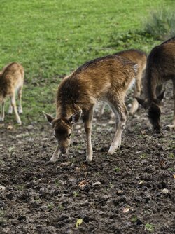 IMG_20251019_154022.jpg IMG_20251019_154022.jpg