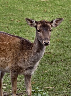 IMG_20251019_154423.jpg IMG_20251019_154423.jpg