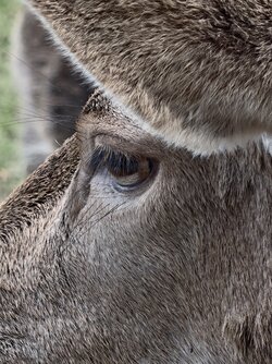 IMG_20251019_154548.jpg IMG_20251019_154548.jpg