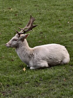 IMG_20251019_153715.jpg IMG_20251019_153715.jpg