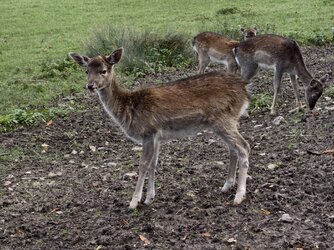 IMG_20251019_153932.jpg IMG_20251019_153932.jpg