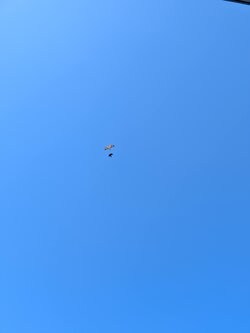 PXL_20251018_100024583.jpg