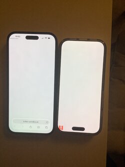 5DF9D122-E549-4C0B-B52C-2614F15C6F7E.jpeg