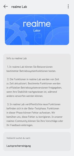 Lautsprecherreinigung.jpg