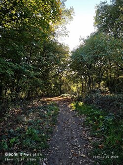 IMG_20251020_162958.jpg IMG_20251020_162958.jpg