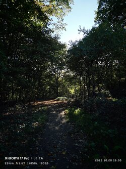 IMG_20251020_163057.jpg IMG_20251020_163057.jpg