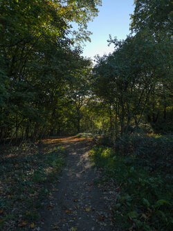 IMG_20251020_163057_LR.jpg IMG_20251020_163057_LR.jpg