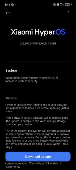 Screenshot_2025-10-21-20-43-25-261_com.android.updater.jpg