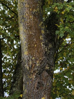 IMG_20251021_125554.jpg IMG_20251021_125554.jpg