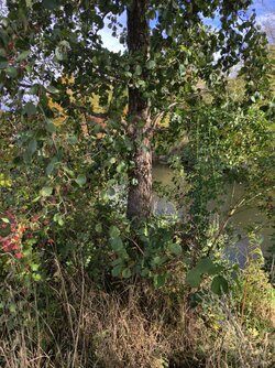 IMG_20251021_123847.jpg IMG_20251021_123847.jpg