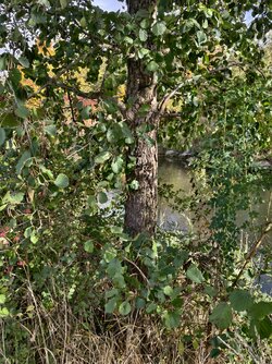 IMG_20251021_123905.jpg IMG_20251021_123905.jpg