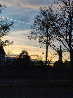 IMG_20251021_180745220.jpg