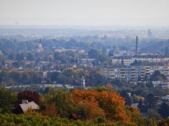 IMG_20251021_115309.jpg