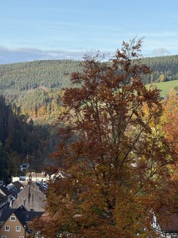 IMG_8467.jpeg