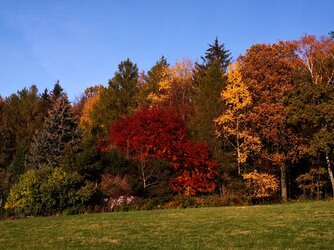 IMG_20201106_143926.jpg