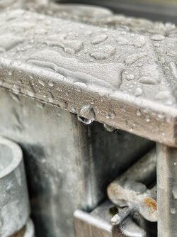 IMG_20251022_125231274.jpg