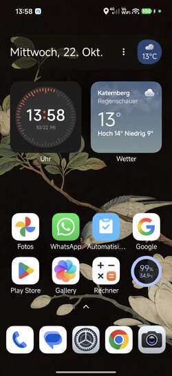 Screenshot_2025-10-22-13-58-03-847_com.miui.home.jpg