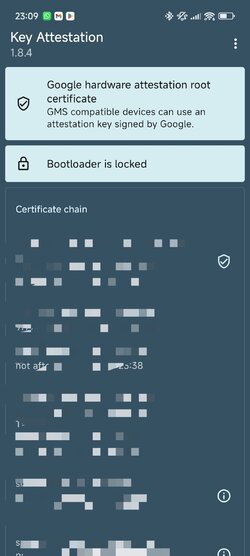 Screenshot_2025-10-22-23-09-44-228_io.github.vvb2060.keyattestation-edit.jpg