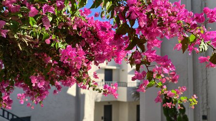 IMG_20251024_162331_042338.jpg