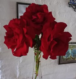 IMG_20251024_102529~2.jpg