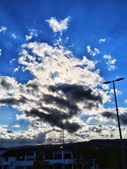 IMG_20251024_154523178.jpg