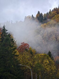 IMG_20251022_163550.jpg